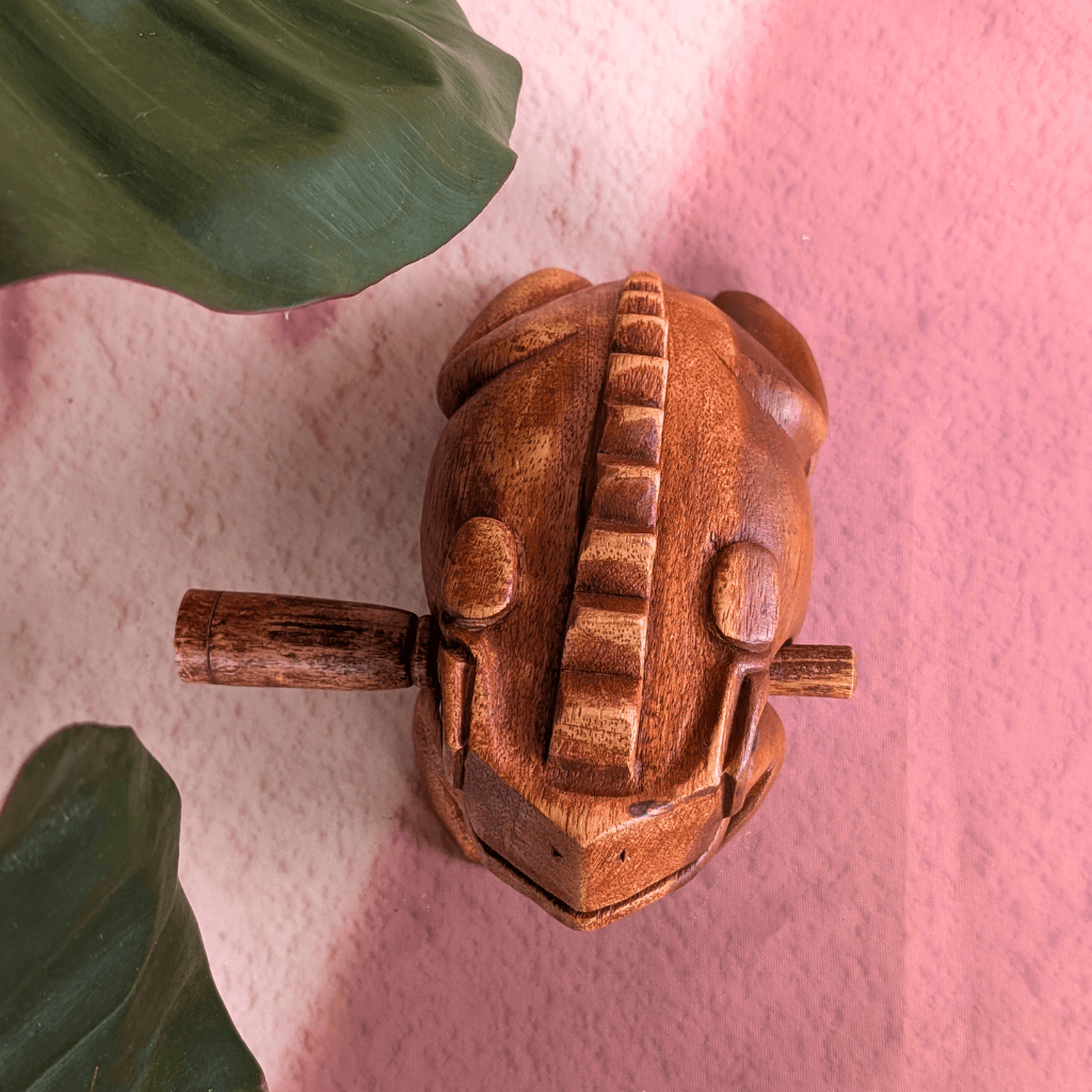 Hand-carved wooden frog percussion instrument with textured back, styled with green leaves on pink backdrop