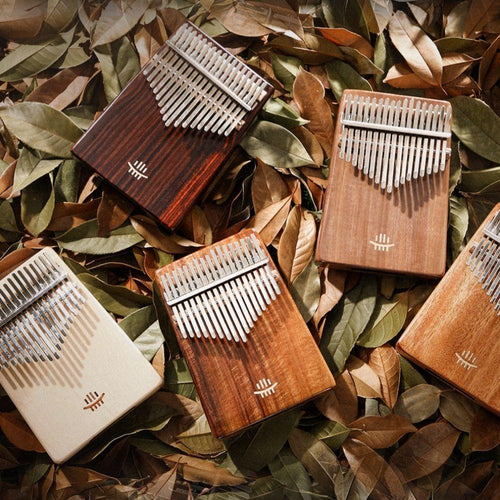 Australia’s Top Destination for Unique & Healing Musical Instruments