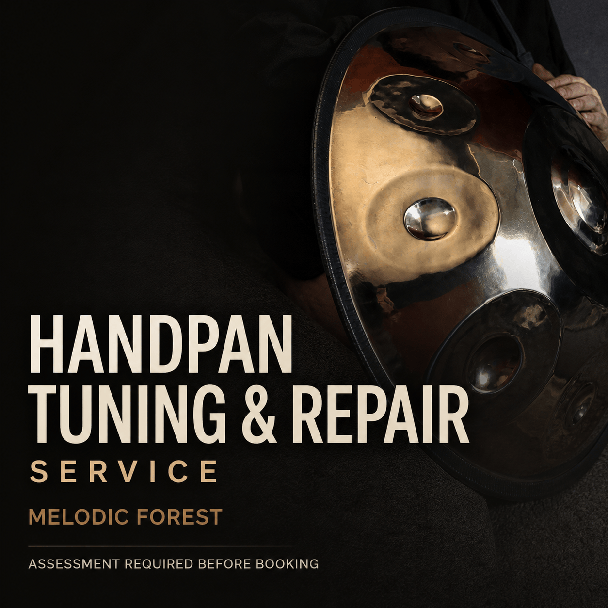 Handpan Tuning and Repair Service at Melodic Forest — assessment required before booking