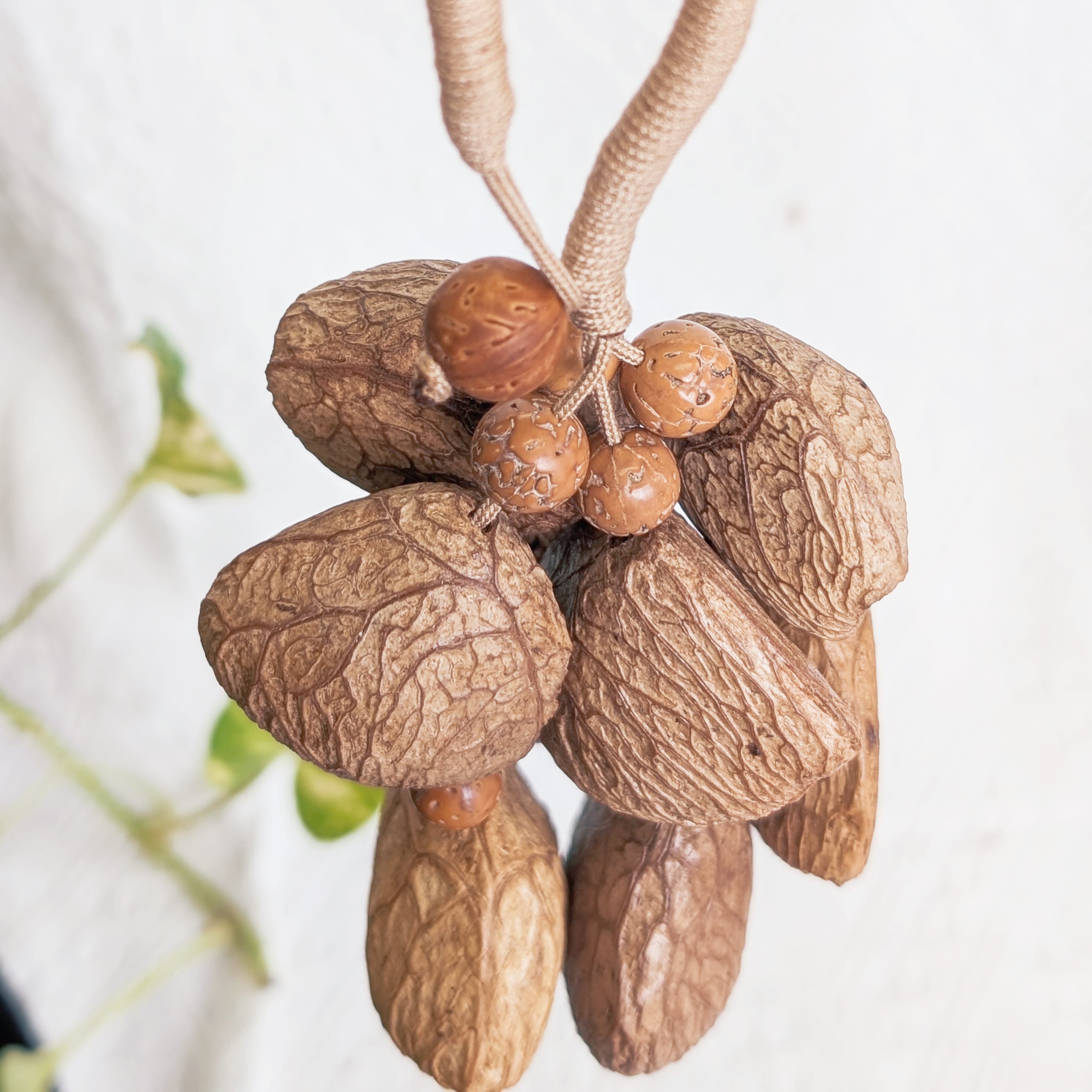 Natural Seed Shaker Ornament – Sunlit Whisper