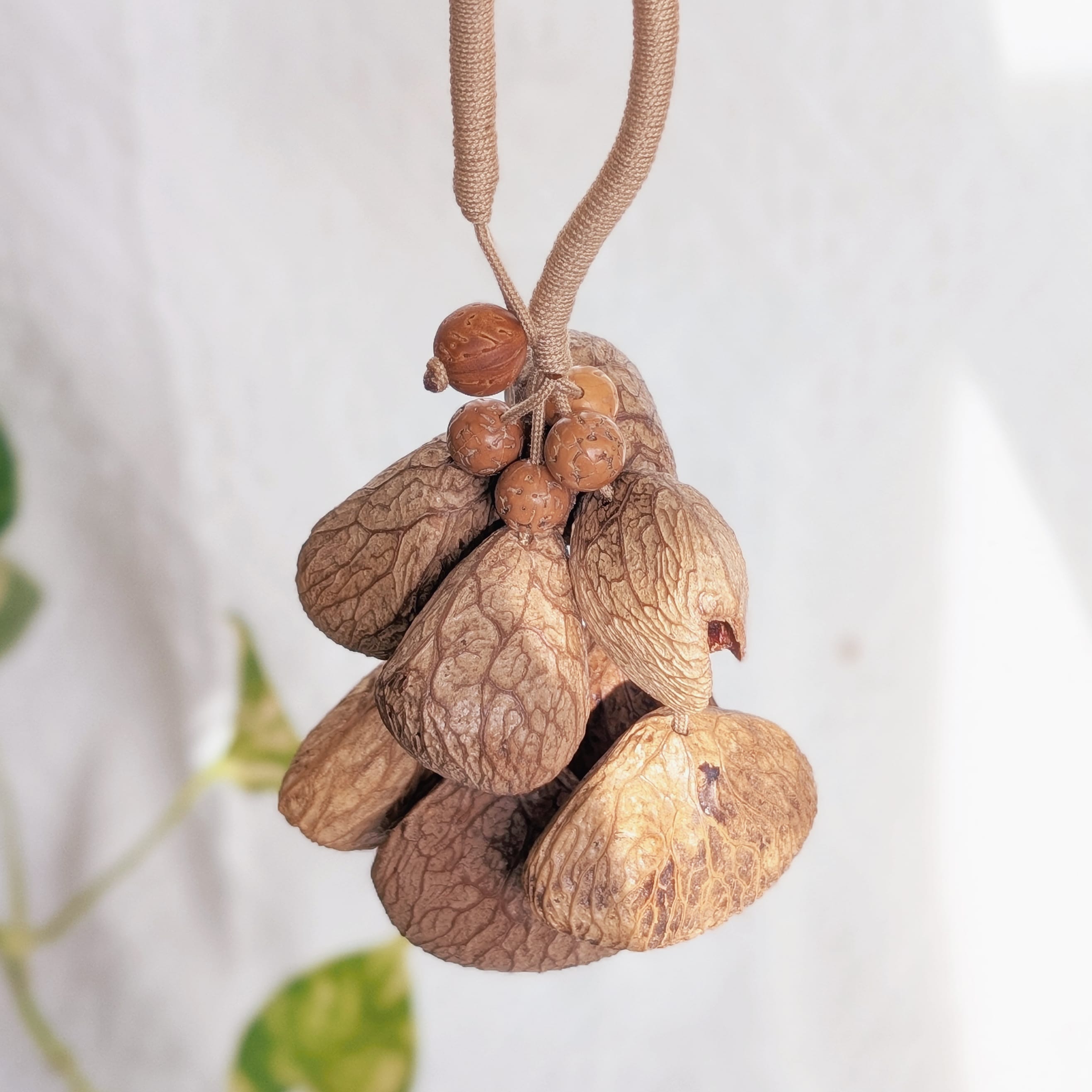 Natural Seed Shaker Ornament – Sunlit Whisper