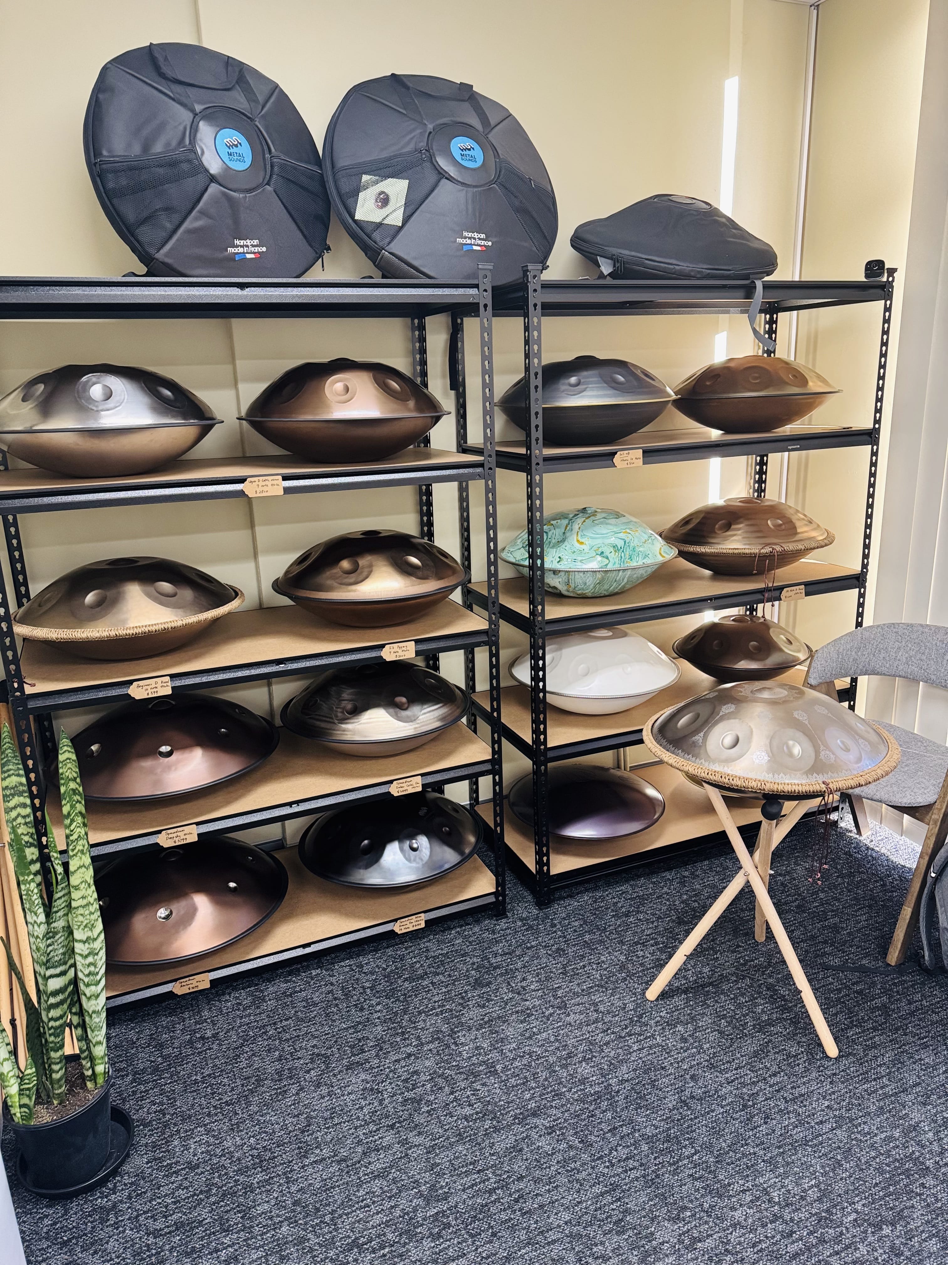 Handpan Workshop & Community Membership