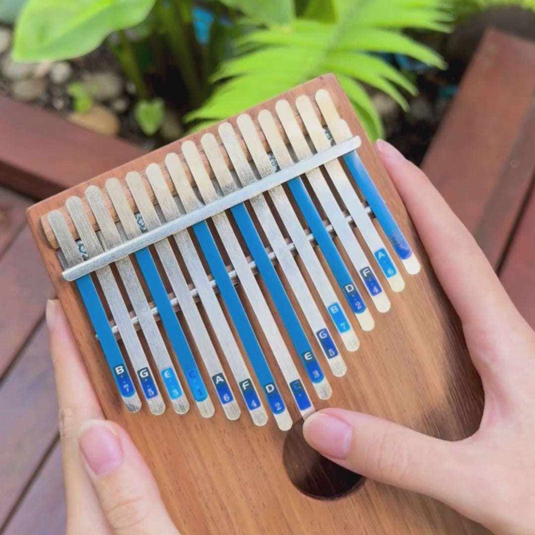 Hugh Tracey Alto Kalimba 15 Key w/Pickup